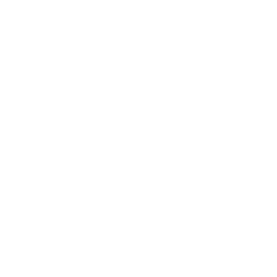 Scaletrix.AI