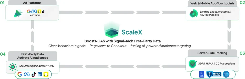 Scalex Infographic